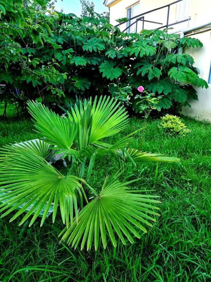Private House Suliko Hotel Кобулети Екстериор снимка